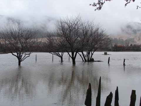 Bezirgan under water