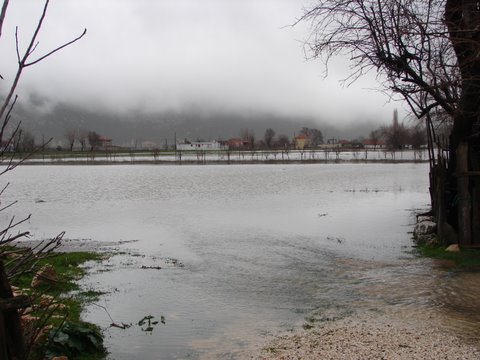 Bezirgan under water