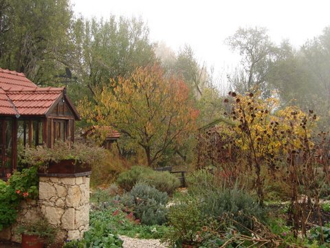 Misty day in a mountain garden