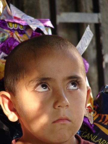 little boy waiting in hope